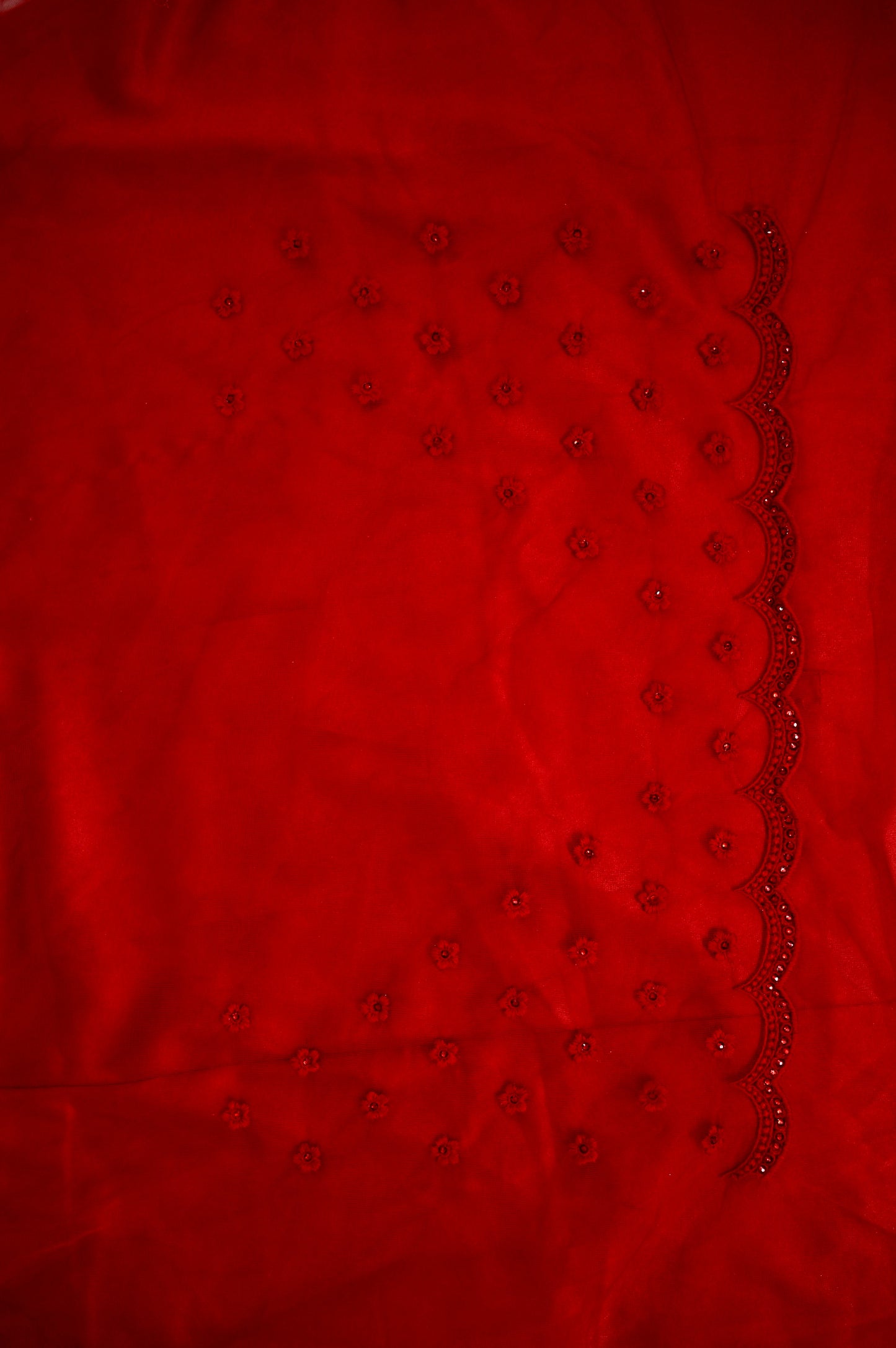 Blood Red Net Saree