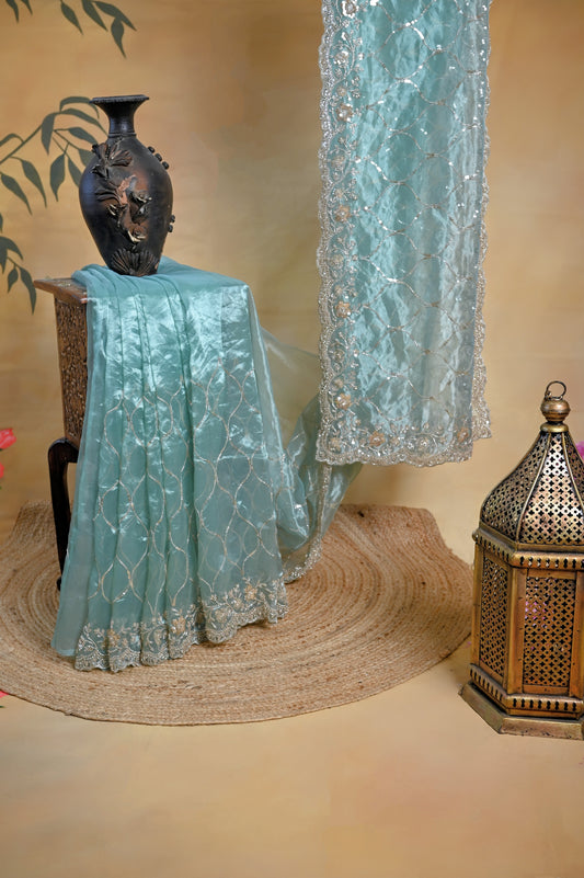 Sky Blue Organza Saree (Hand Work)
